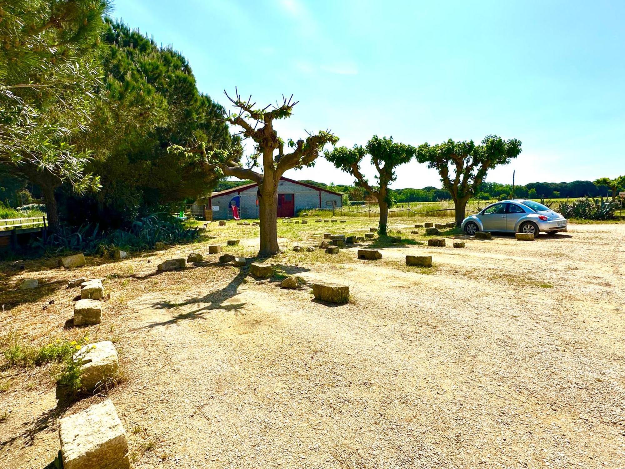 Les Appartements Du Mas - Rose Marie Aigues-Mortes Esterno foto