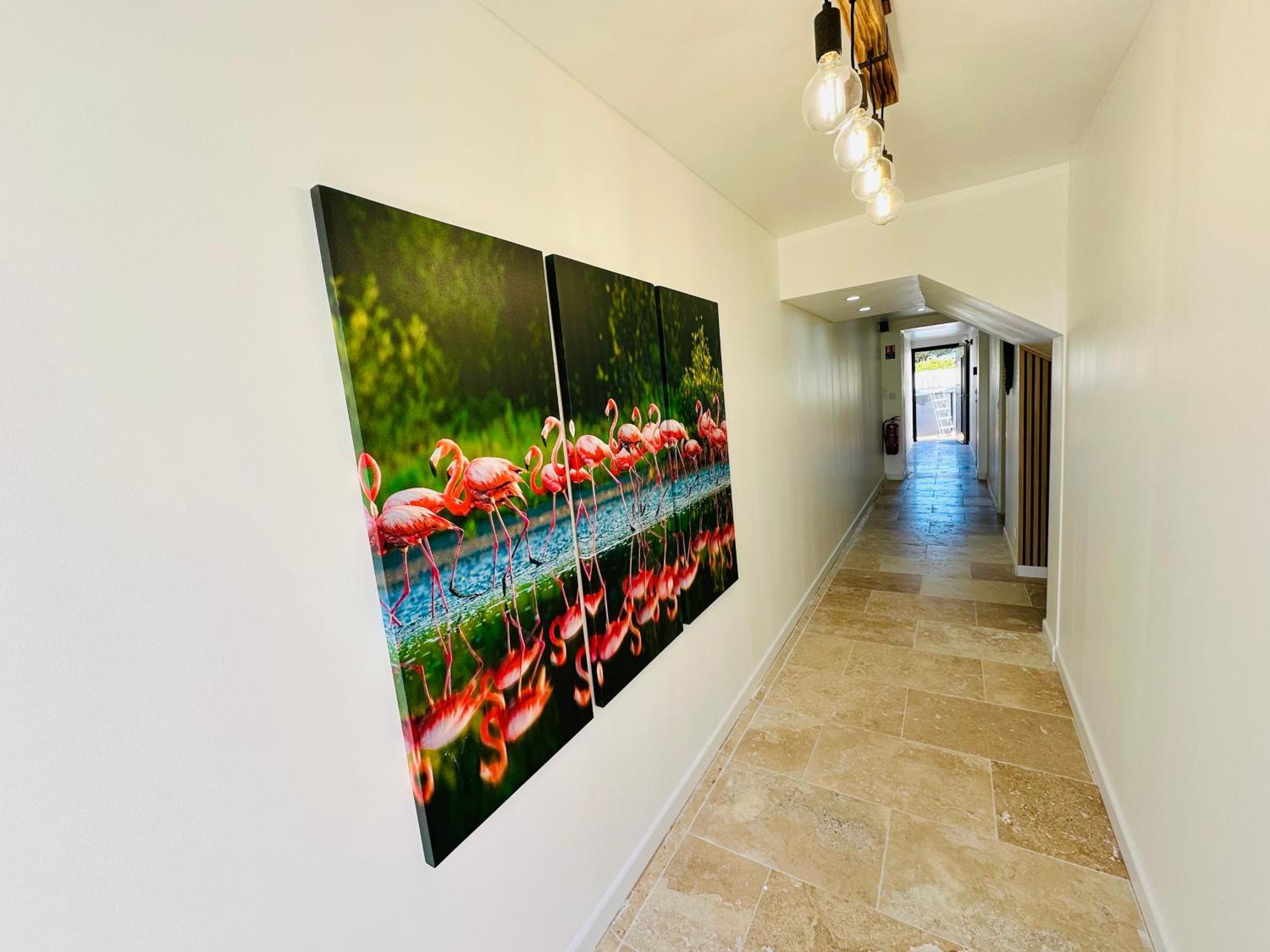 Les Appartements Du Mas - Rose Marie Aigues-Mortes Esterno foto