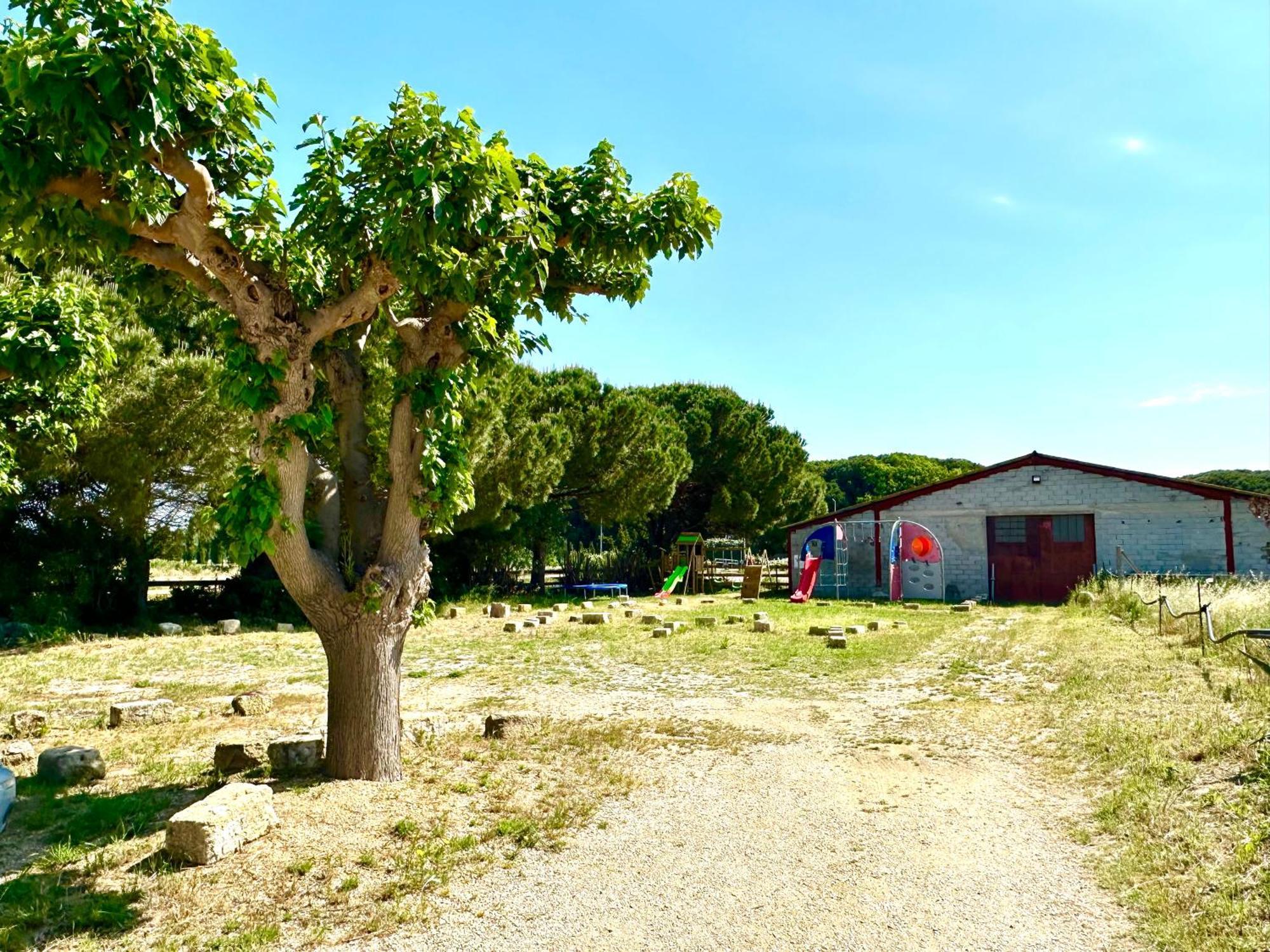 Les Appartements Du Mas - Rose Marie Aigues-Mortes Esterno foto